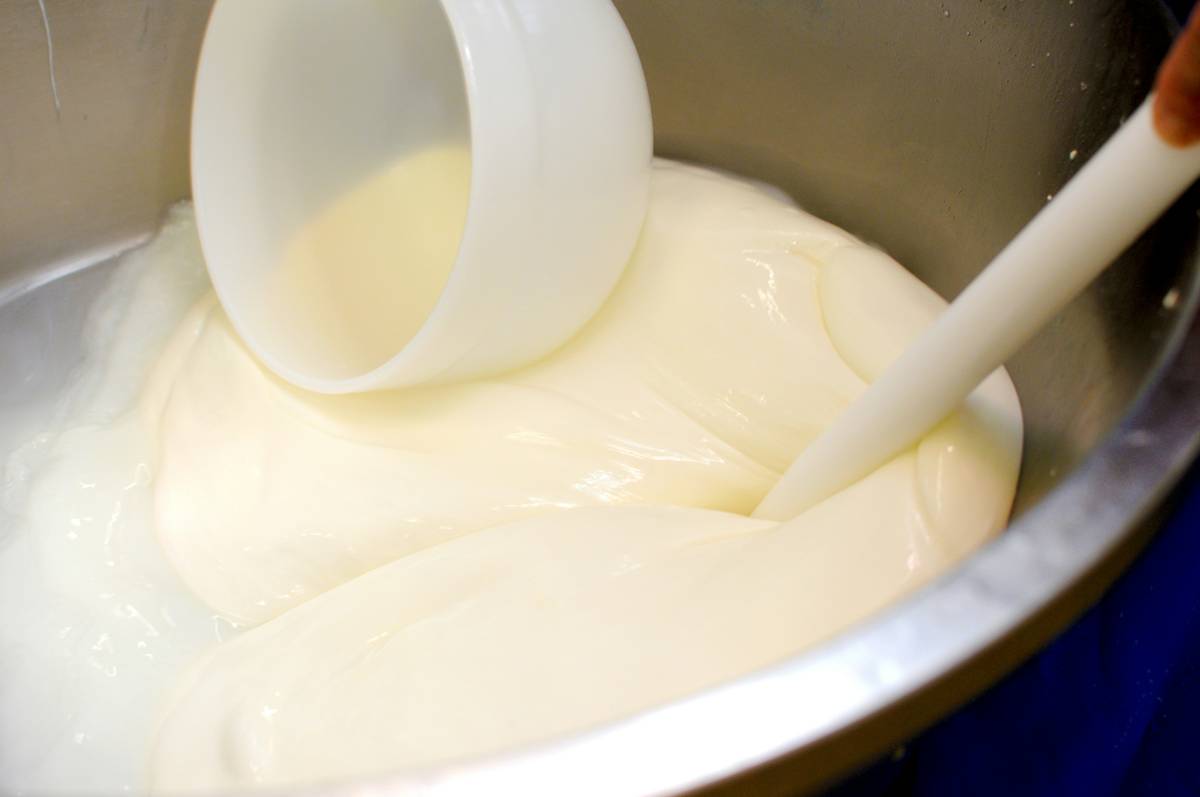 Before: runny yogurt in plastic cup; After: thick, creamy yogurt in glass jar