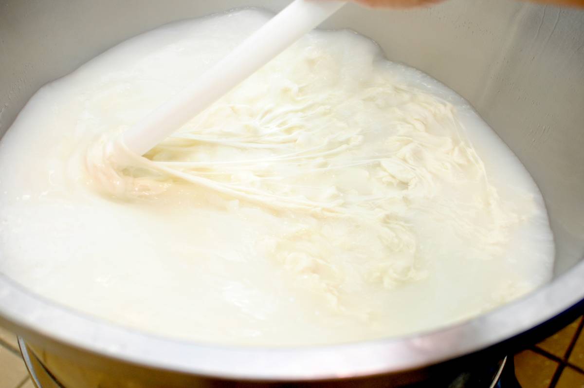 How Does a Yogurt Maker Work — And Why Your Homemade Batch Keeps Failing