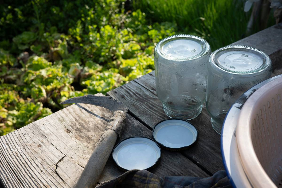 Making Yogurt Practical Equipment: Your No-Nonsense Guide to Homemade Dairy Done Right